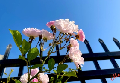 与四月书
