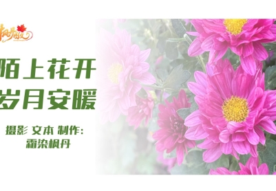 陌上花开 岁月安暖