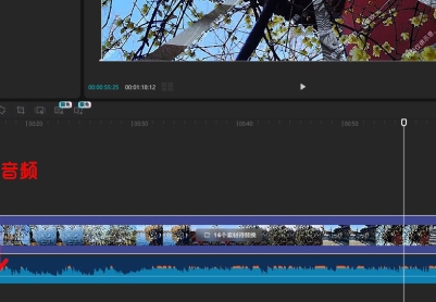 利用剪影模板制作视频