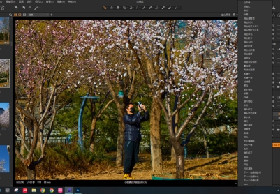 过年海来阿木 - 新年