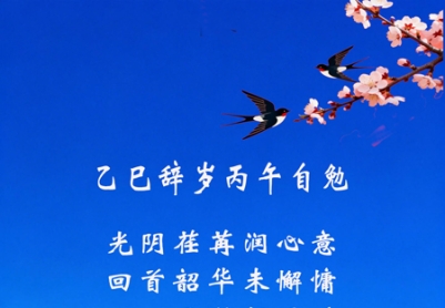 乙巳辞岁丙午自勉