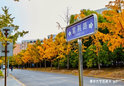 清华大学的秋天