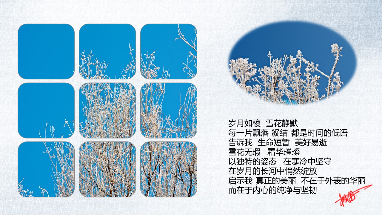幻灯片4.JPG