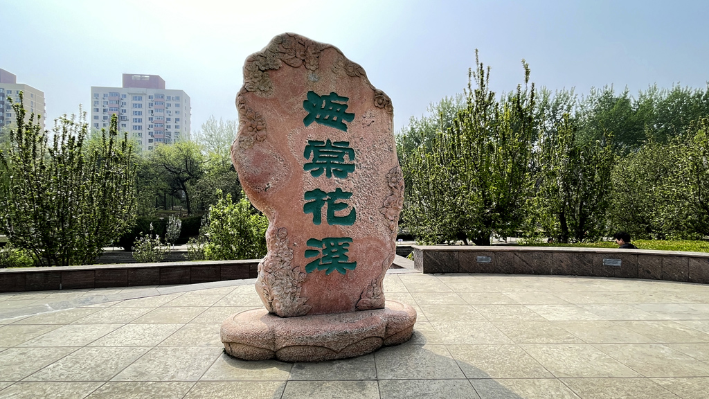 IMG_E9378.jpg