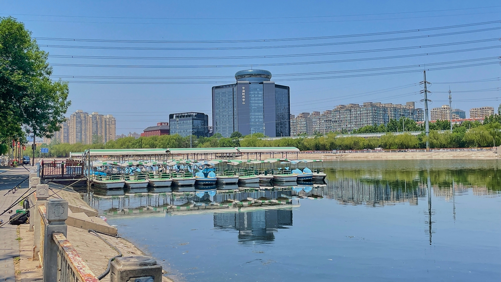 庆丰公园2025.5 10 (2).jpg