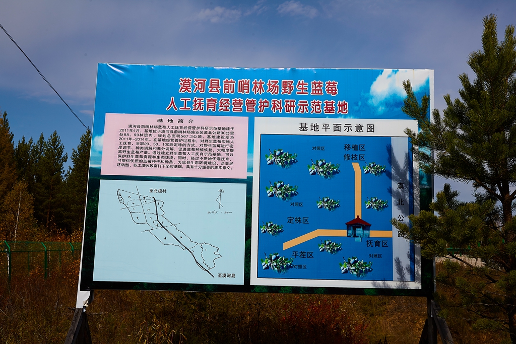 加格达奇 349.jpg