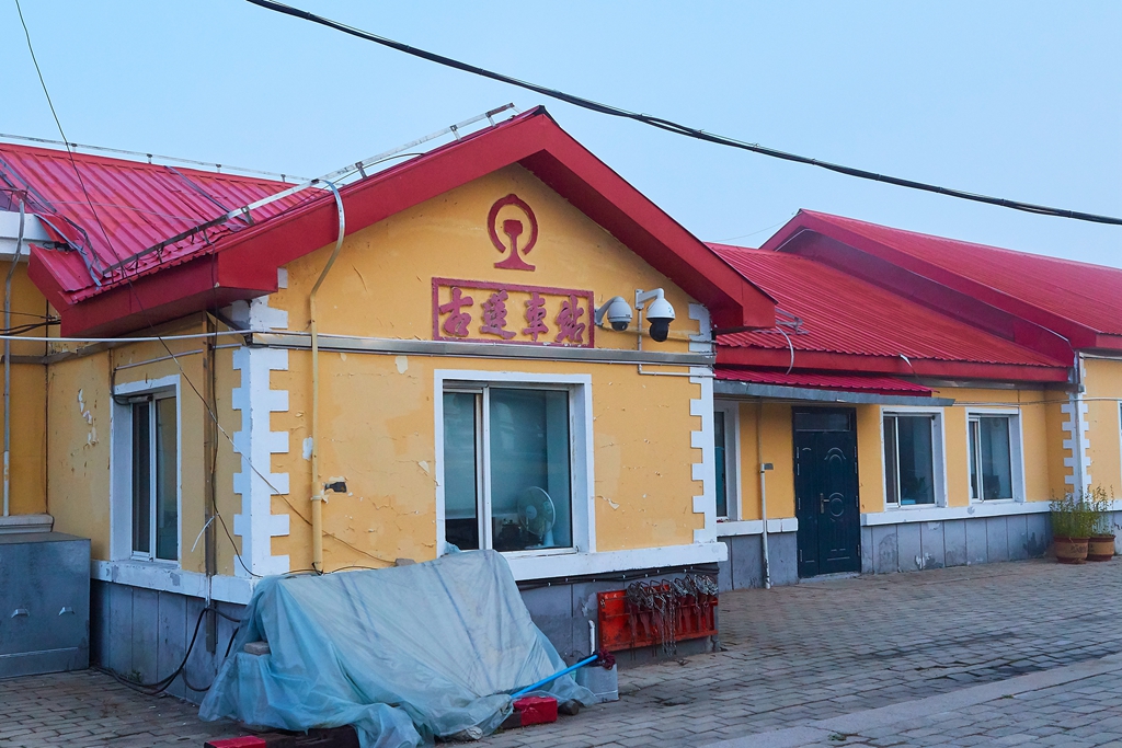 古莲 5.jpg