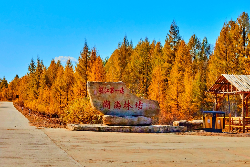 去满归路上_33.jpg