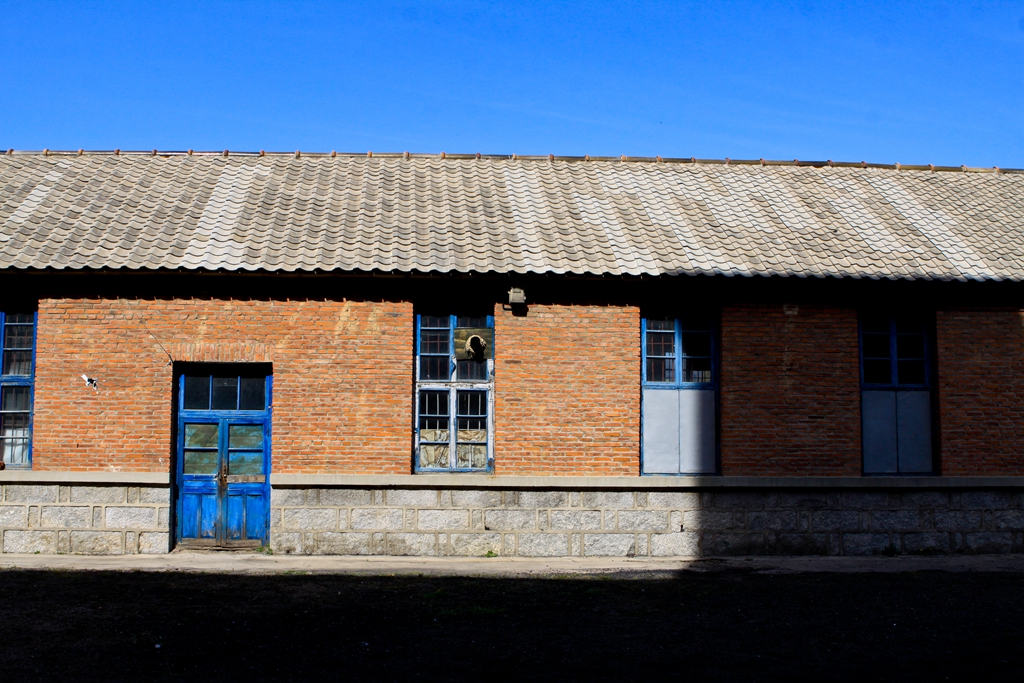 IMG_9892.jpg