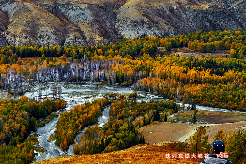 喀纳斯去禾木路上0 1.jpg