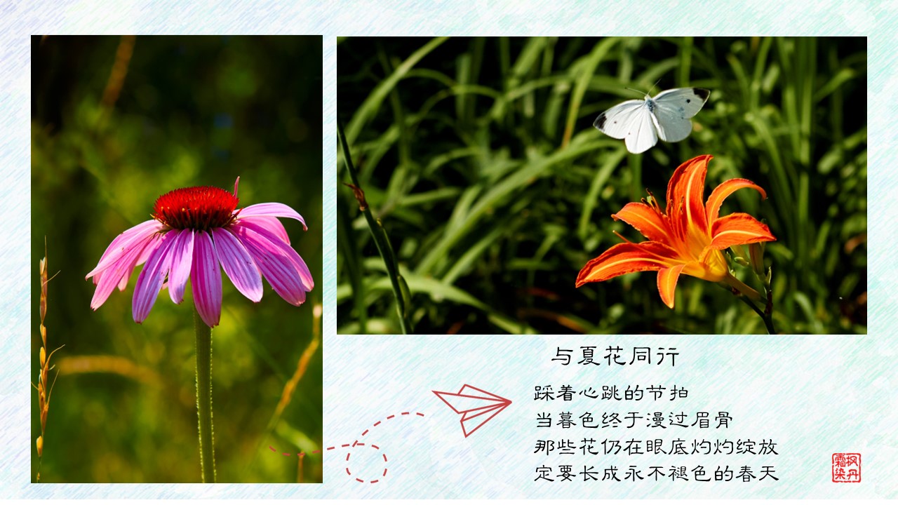 幻灯片5.JPG