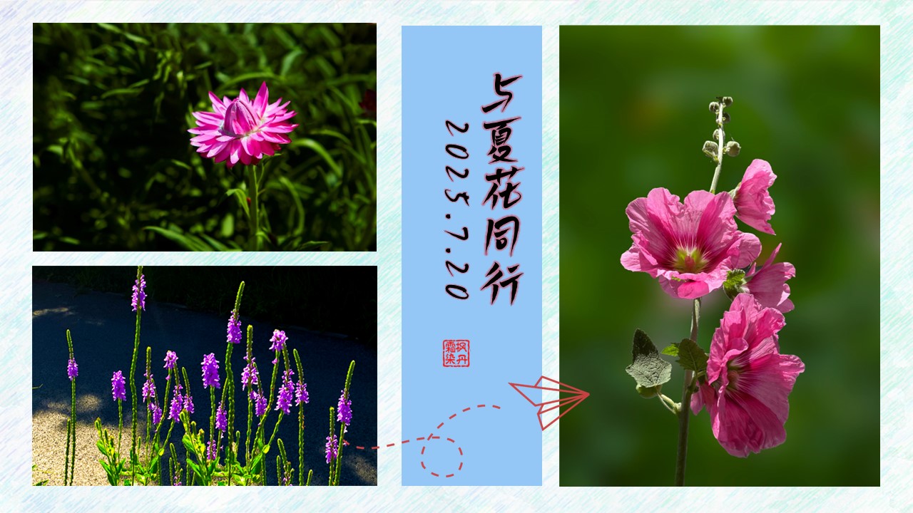 幻灯片6.JPG