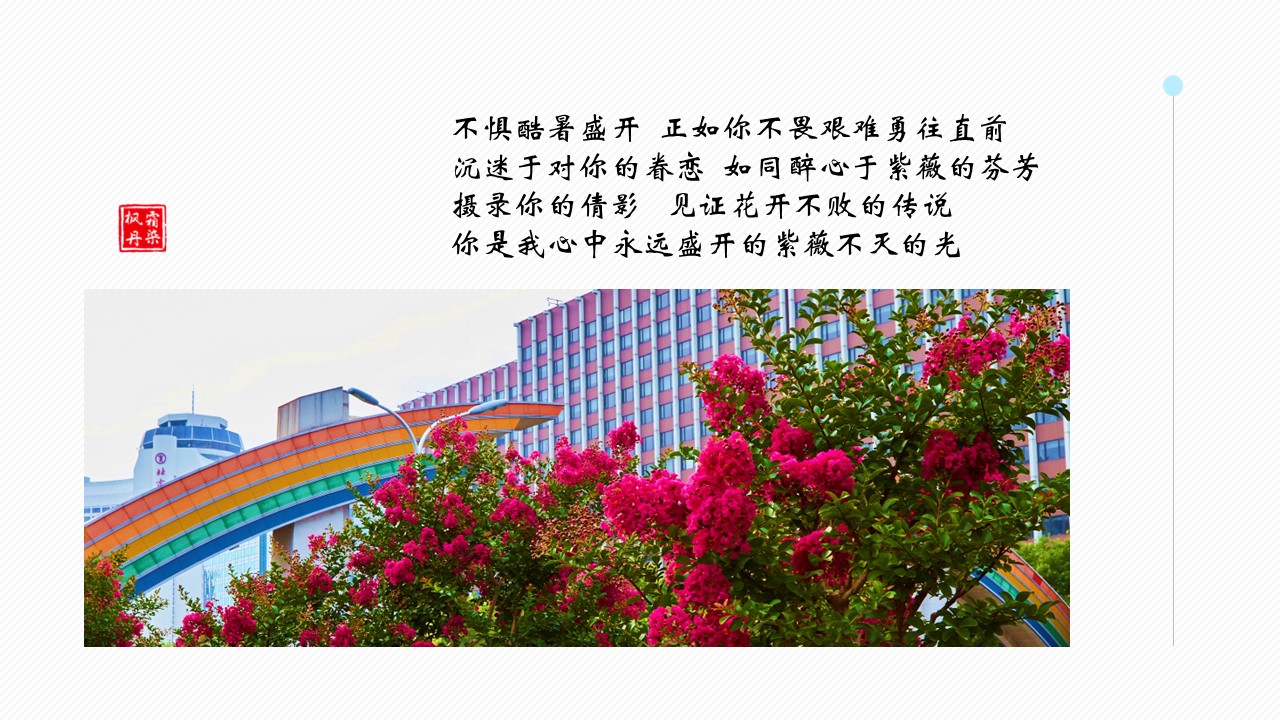 幻灯片9.JPG
