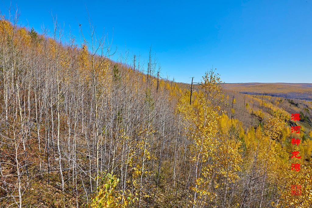 加格达奇 182.jpg