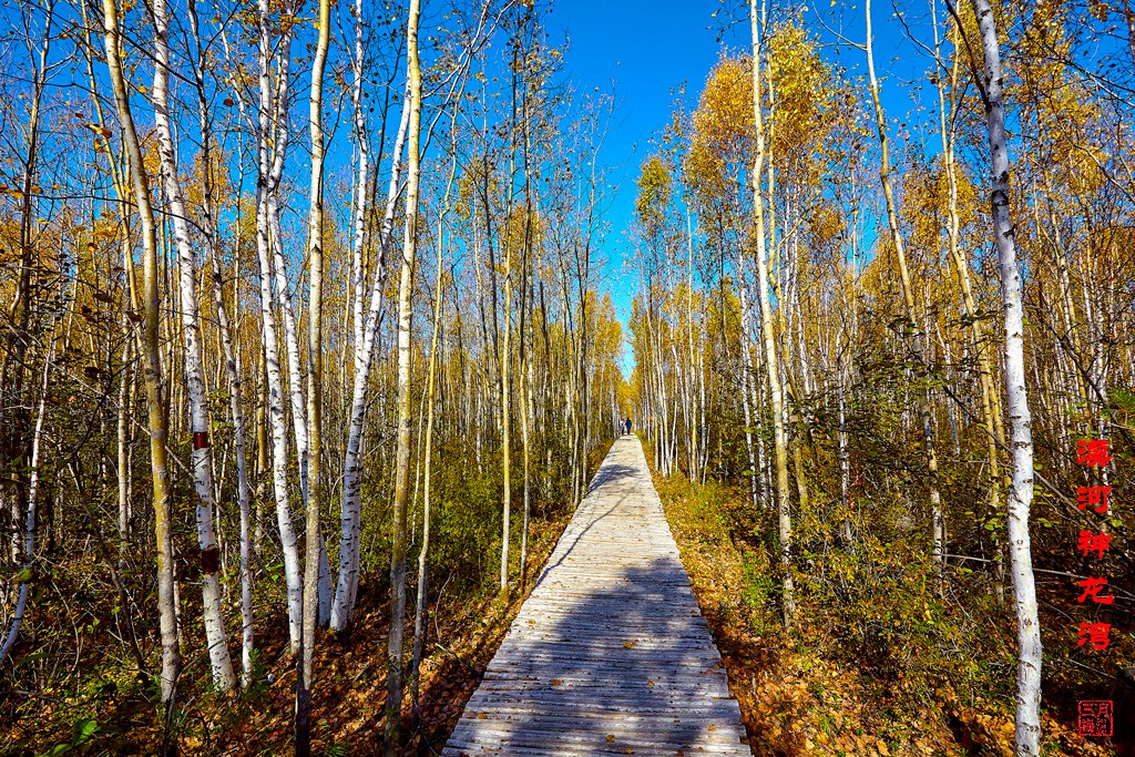 加格达奇 184.jpg