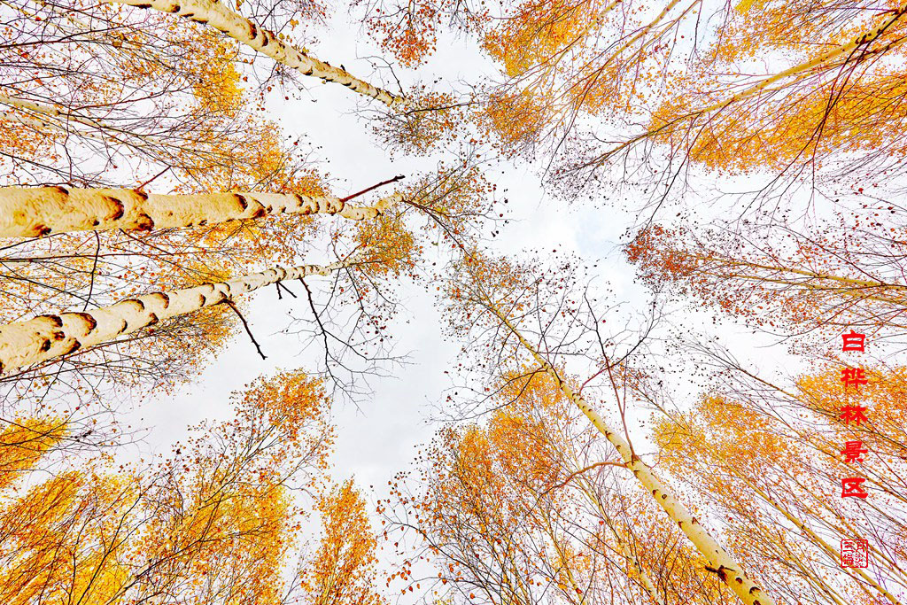 加格达奇 119.jpg