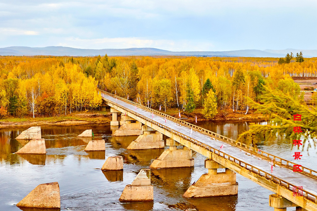 九曲十八弯sd卡 85.jpg