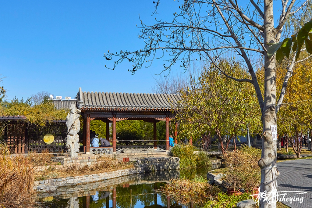 三里河公园_12.jpg