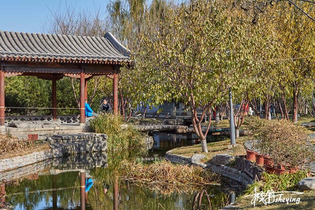 三里河公园_13.jpg