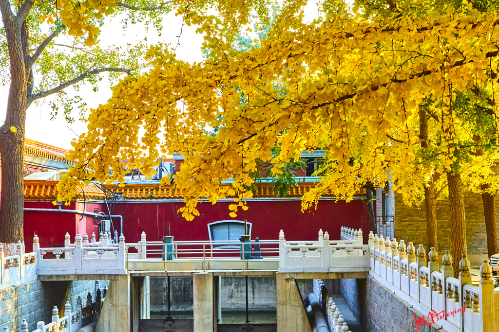 北京之秋2018二集 115.jpg