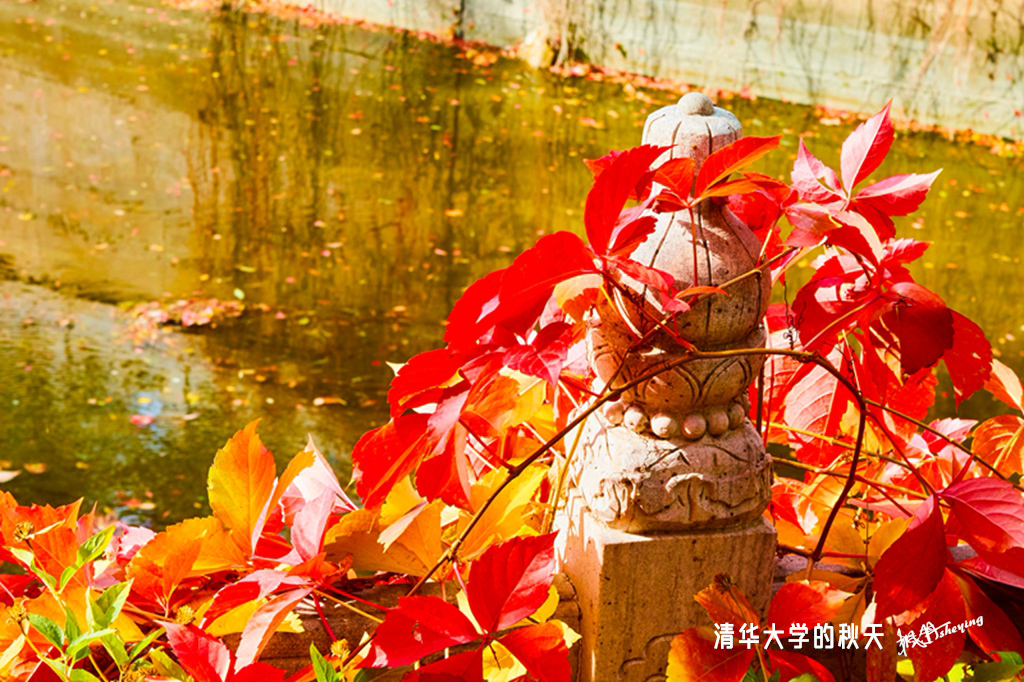 北京之秋2018二集 38.jpg