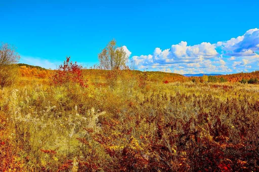 去满归路上_79 1.jpg