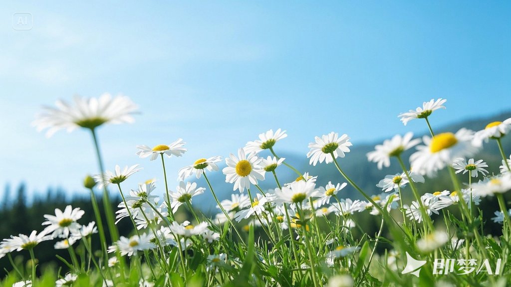 jimeng-2025-05-30-863-一片白色雏菊的田野，背景是天空。花的中心是黄色的，底部是绿.jpg