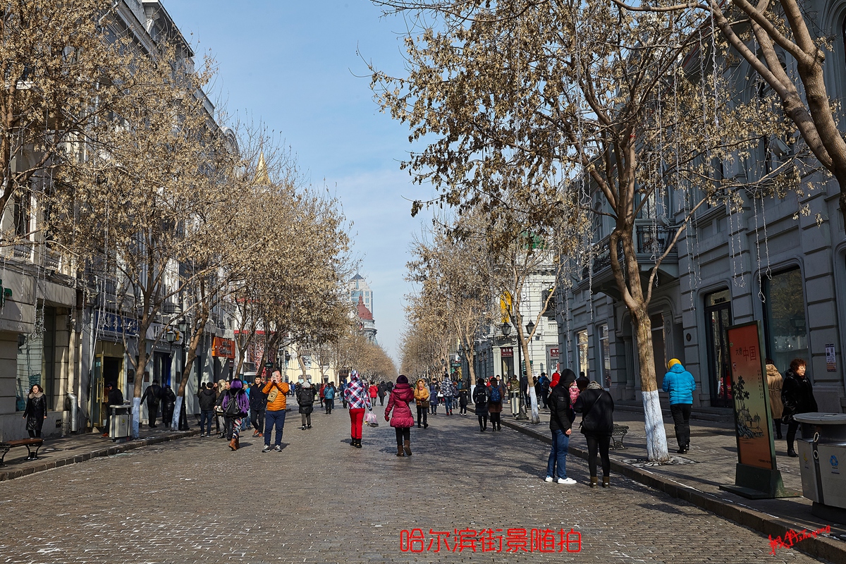 哈尔滨 20.jpg