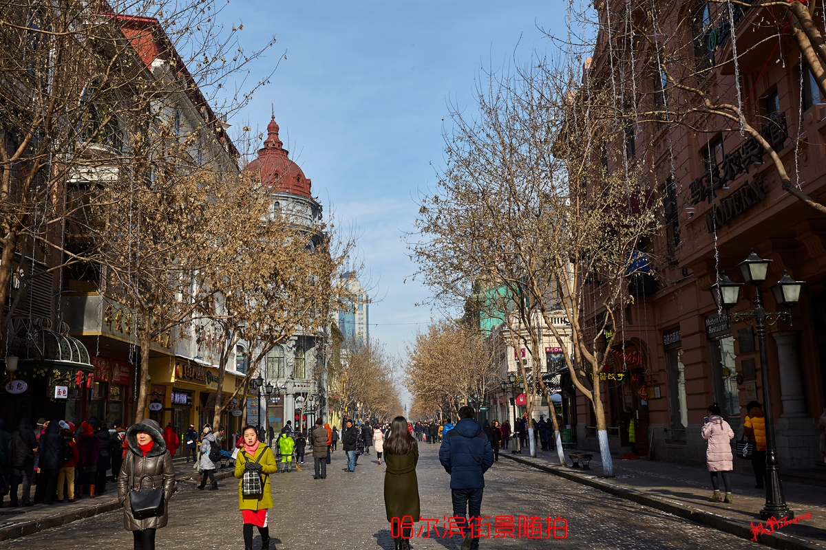哈尔滨 23.jpg