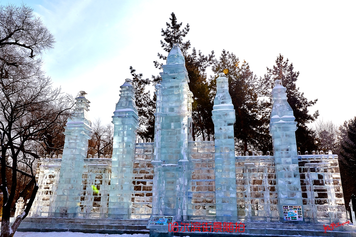 哈尔滨冰雪大世界5d2 12.jpg