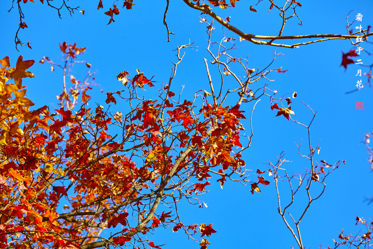 北京之秋2018 73.jpg