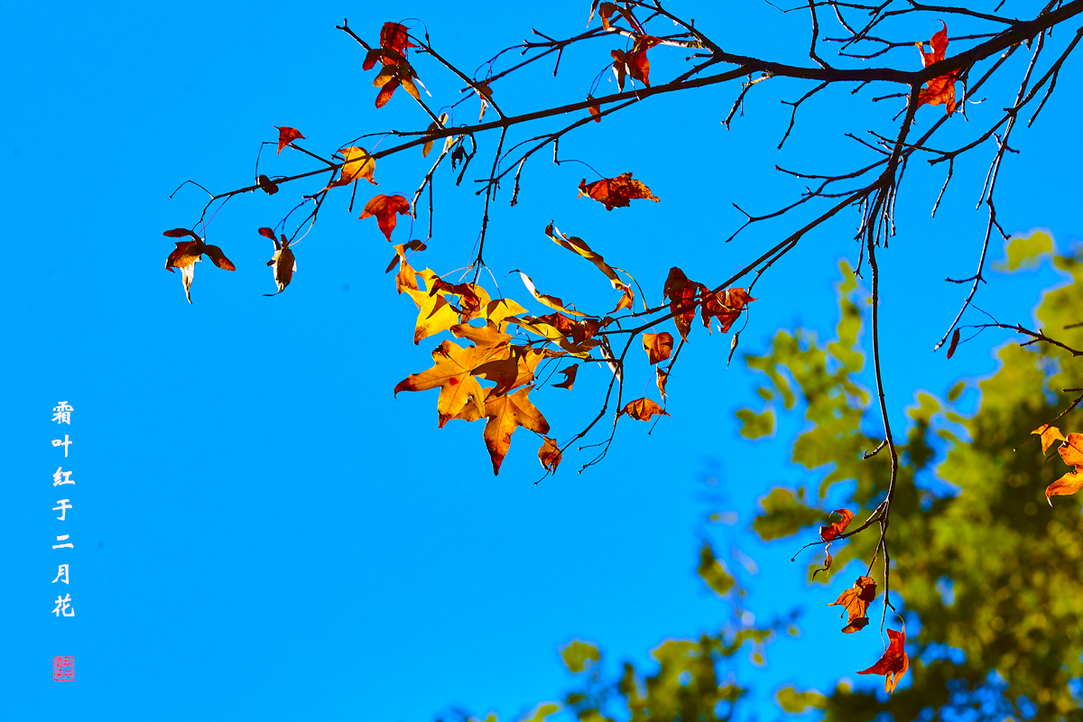 北京之秋2018 81.jpg