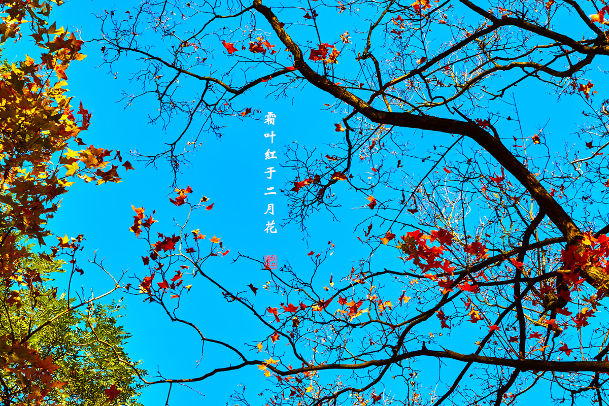 北京之秋2018二集 152.jpg