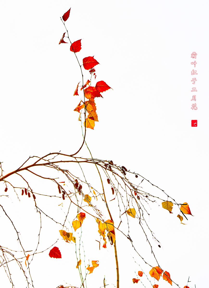 北京之秋2018二集 72.jpg