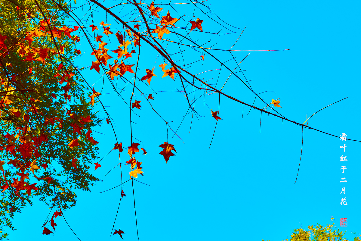 北京之秋2018二集 159.jpg