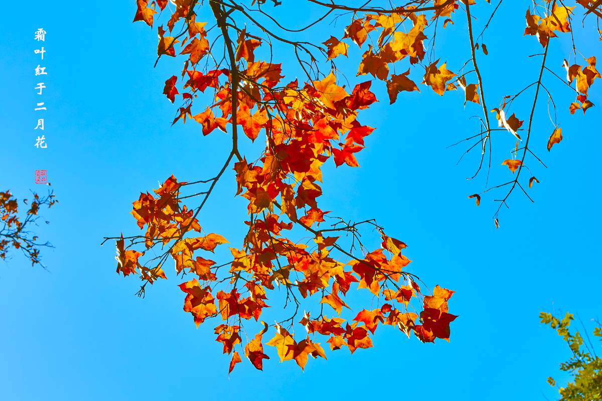 北京之秋2018二集 155.jpg