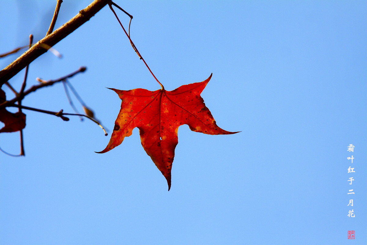 何伟和清华 16.jpg