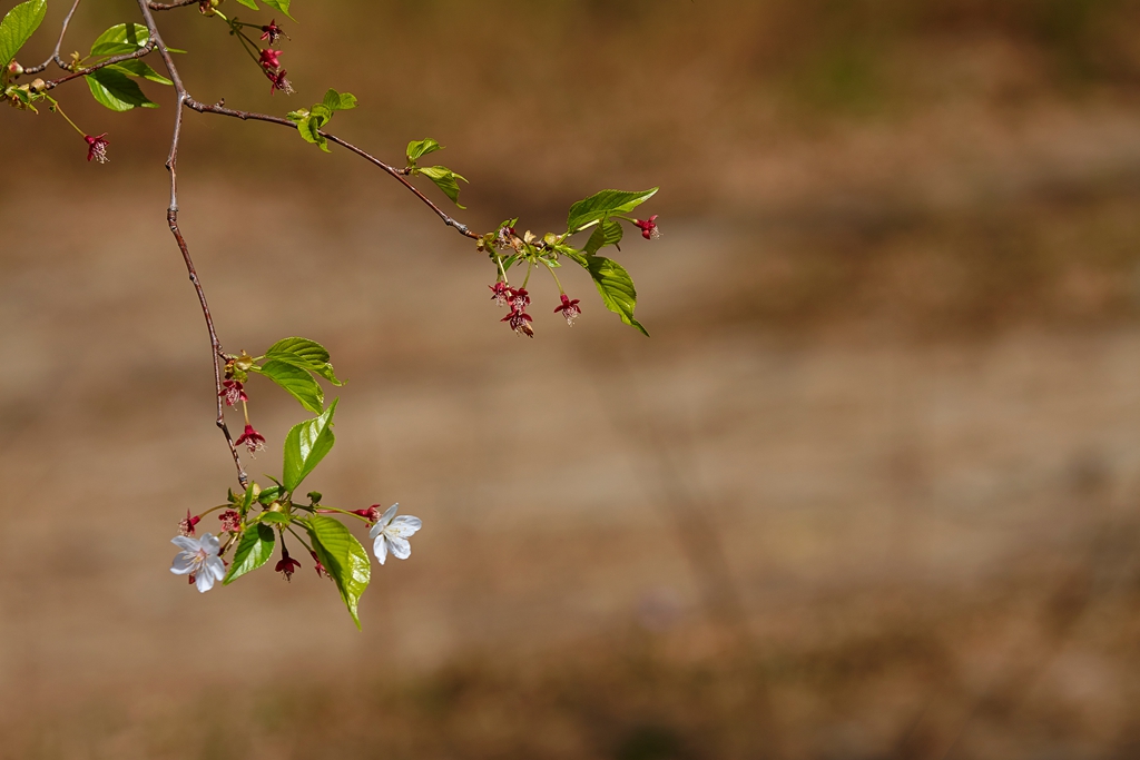 玉渊潭2 (58) .jpg