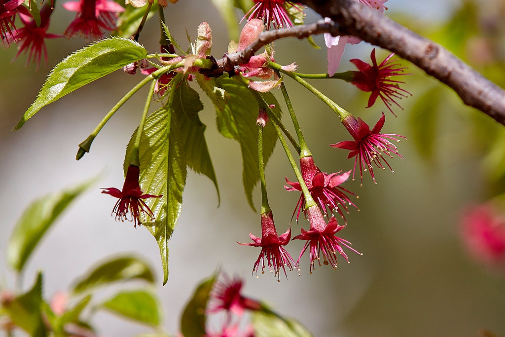 玉渊潭2 (56) .jpg