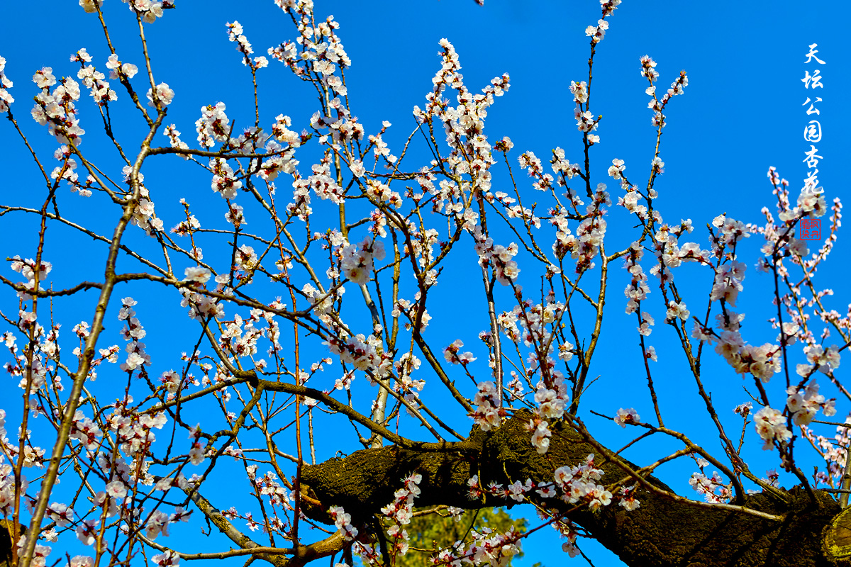 手机随拍7月 21.jpg