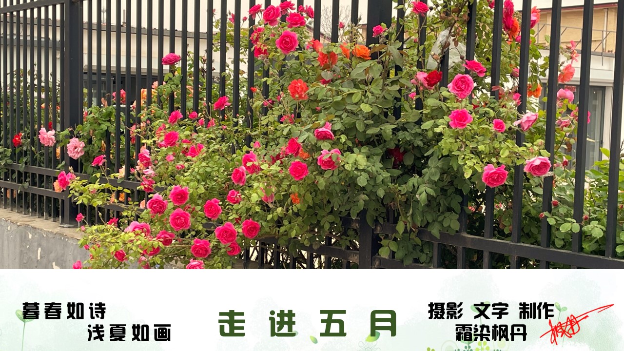 幻灯片1.JPG