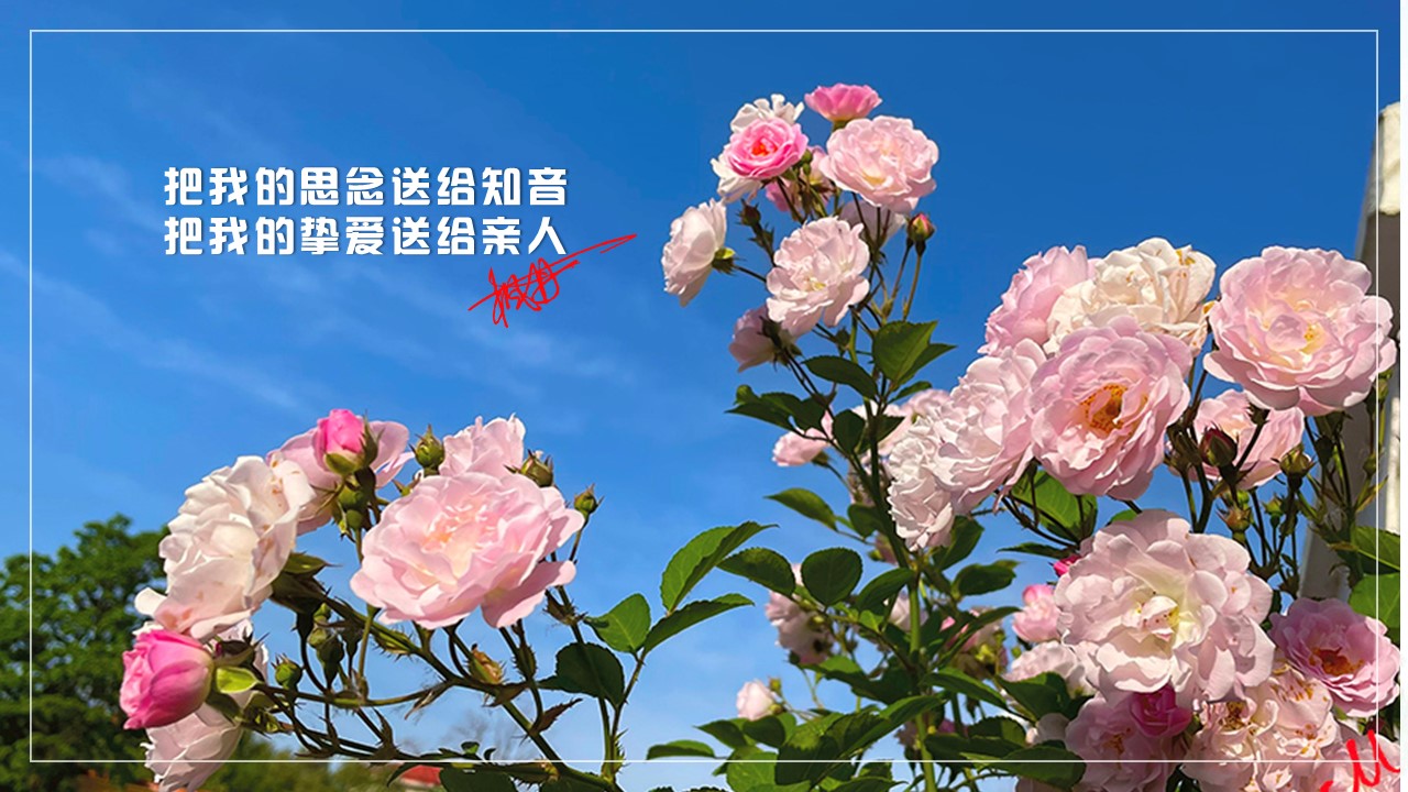 幻灯片4.JPG