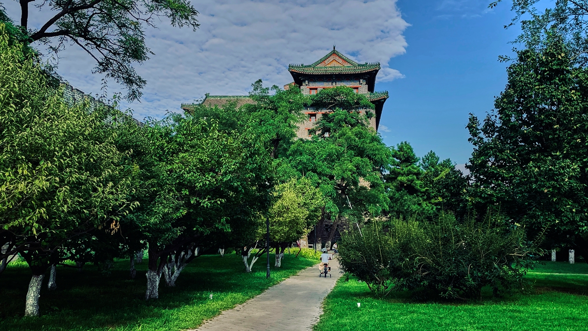 初秋的遗址公园 35.jpg